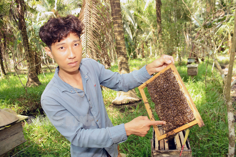 Đoàn viên Nguyễn Duy Khanh nuôi ong mật.