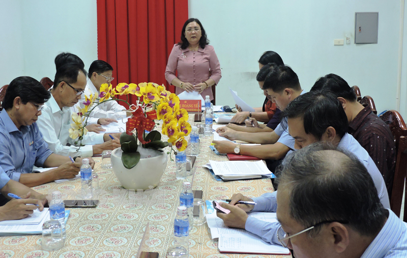 Phó bí thư Thường trực Tỉnh uỷ - Chủ tịch HĐND tỉnh Hồ Thị Hoàng Yến phát biểu tại buổi làm việc.