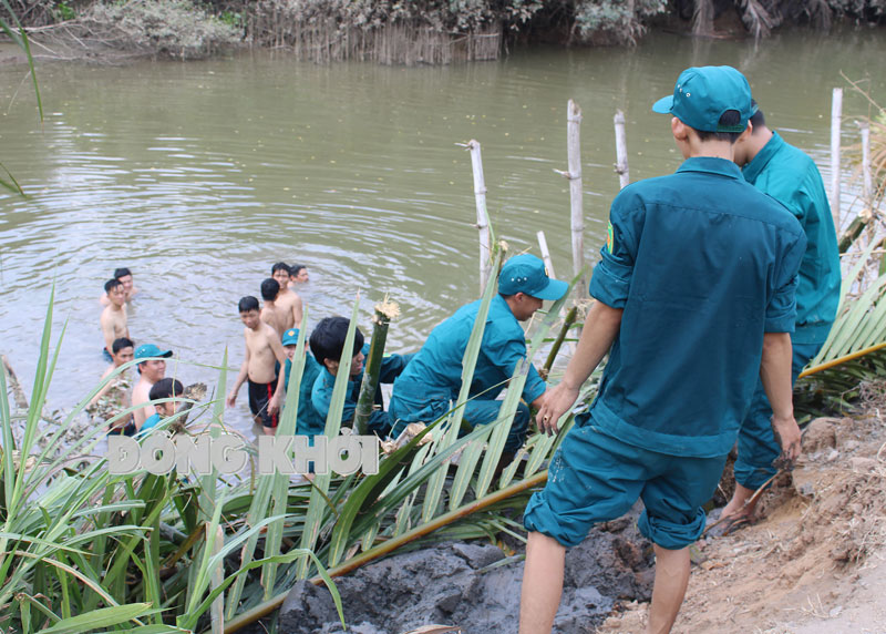 Lực lượng dân quân tự vệ huyện Mỏ Cày Nam tham gia khắc phục sạt lở đê cồn Thành Long, xã Thành Thới A.