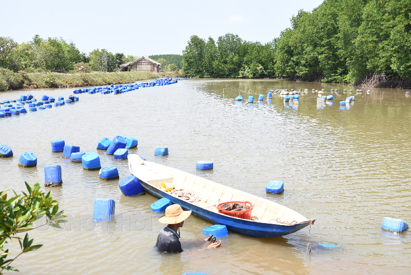 Chương trình Famtrip - giới thiệu điểm đến du lịch tại Thạnh Phú Đoàn tham quan, trải nghiệm và khám phá nghề nuôi hàu tại xã biển Thạnh Hải, huyện Thạnh Phú.