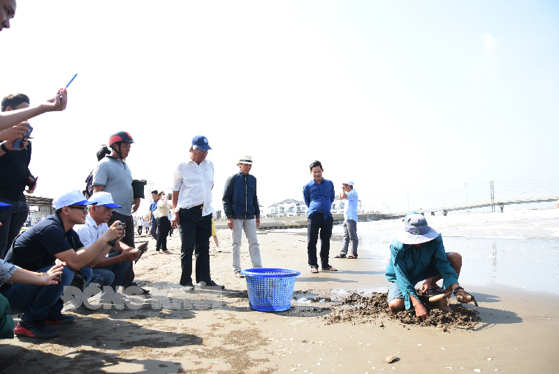 Chương trình Famtrip - giới thiệu điểm đến du lịch tại Thạnh Phú Đoàn khách cảm thấy thú vị với hoạt động trải nghiệm cào nghêu tại bãi nghêu thuộc xã Thạnh Hải.