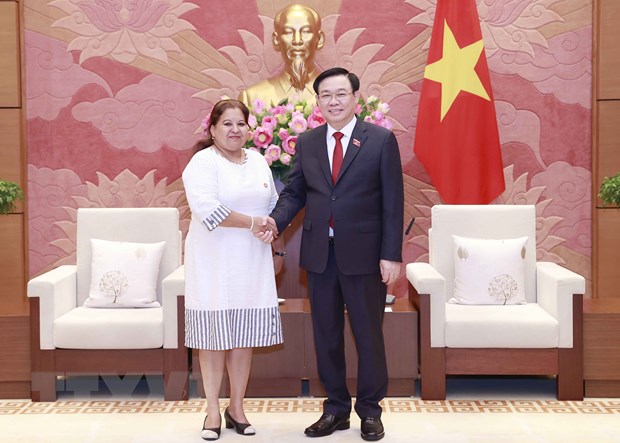 Chủ tịch Quốc hội tiếp Tổng Thư ký Hội Liên hiệp Phụ nữ Cuba Chủ tịch Quốc hội Vương Đình Huệ tiếp Tổng Thư ký Hội Liên hiệp Phụ nữ Cuba Teresa Amarelle Boúe. (Ảnh: Doãn Tấn/TTXVN)