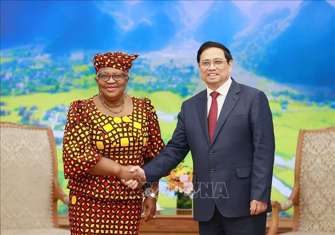 Thủ tướng Phạm Minh Chính tiếp Tổng Giám đốc Tổ chức Thương mại thế giới WTO Ngozi Okonjo-Iweal. Ảnh: Dương Giang/TTXVN