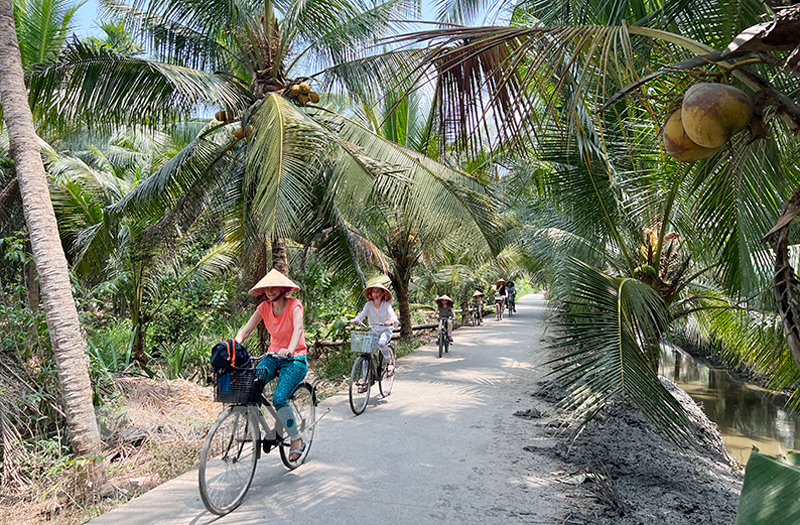 Du khách khám phá vườn dừa tại làng quê huyện Giồng Trôm.
