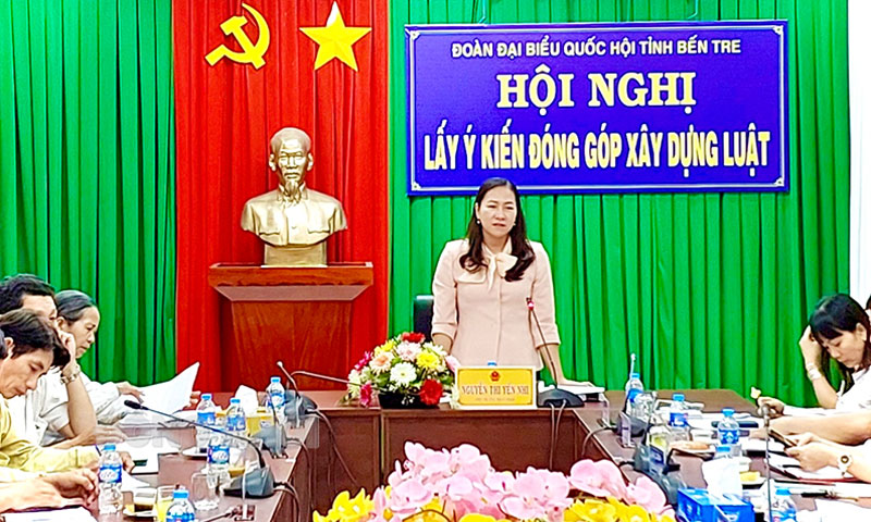 Phó trưởng Đoàn đại biểu Quốc hội tỉnhNguyễn Thị Yến Nhi chủ trì hội nghị.