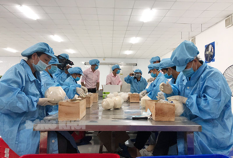Công nhân tham gia sản xuất sản phẩm từ dừa tại Công ty TNHH Tùng Phát ViNa (xã Hữu Định, huyện Châu Thành). Ảnh: H. TRUNG
