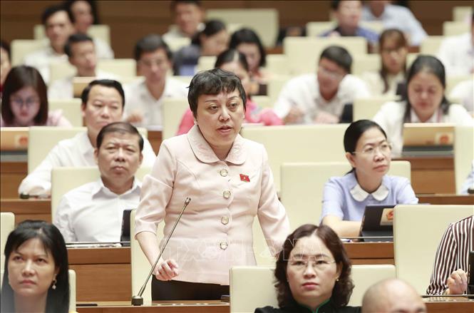 Gỡ vướng trong việc thực hiện các chương trình mục tiêu quốc gia Đại biểu Quốc hội TP Hồ Chí Minh Phạm Khánh Phong Lan phát biểu. Ảnh: Doãn Tấn/TTXVN