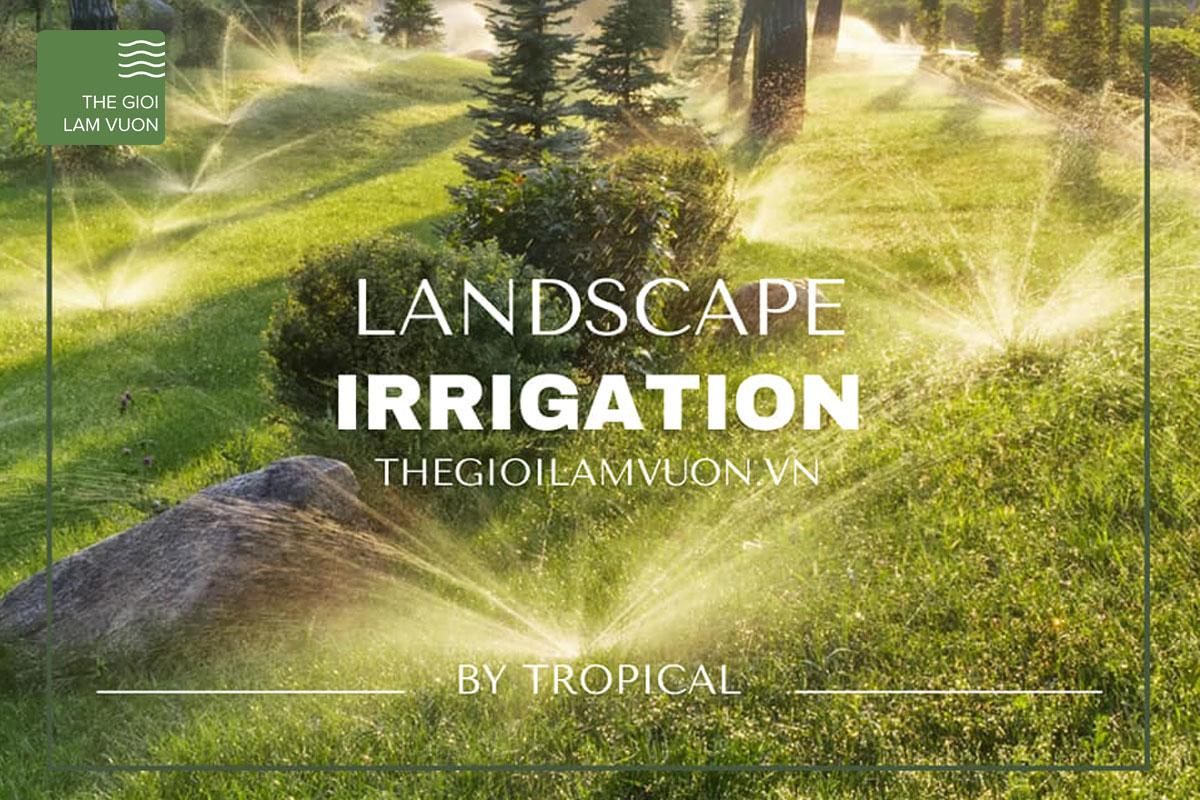 Mua chậu Monrovia ở đâu là tốt nhất? Đến ngay Thế Giới Làm Vườn