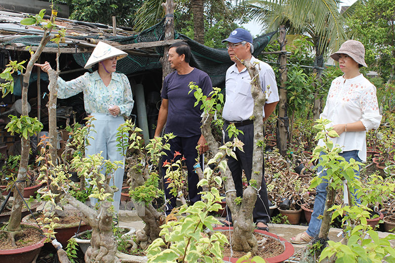 Khảo sát mô hình hợp tác xã gắn với phát triển du lịch cộng đồng tại Chợ Lách Đoàn khảo sát thực tế tại Hoa giấy Bonsai Màu hồng của ông 6 Màu (ấp Lân Đông , xã Phú Sơn).