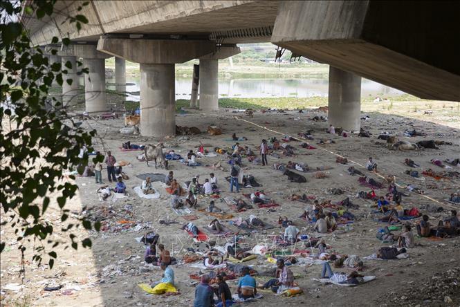 Người dân nghỉ tránh nắng dưới bóng râm của cây cầu ở New Delhi, Ấn Độ. Ảnh: THX/TTXVN