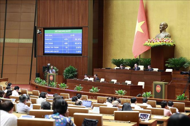 Không đưa thịt lợn vào Danh mục hàng hóa bình ổn giá Quốc hội biểu quyết thông qua Luật Giá (sửa đổi). Ảnh: Doãn Tấn/TTXVN