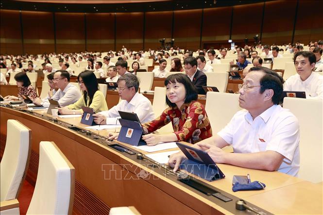 Đoàn đại biểu Quốc hội tỉnh Hải Dương biểu quyết thông qua Nghị quyết về việc thành lập Đoàn giám sát chuyên đề của Quốc hội năm 2024. Ảnh: Doãn Tấn/TTXVN
