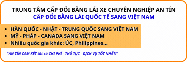 Có nên đổi bằng lái xe Mỹ sang Việt Nam hay không?