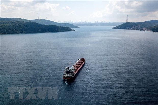 Tàu chở ngũ cốc di chuyển dọc Eo biển Bosphorus, Istanbul, Thổ Nhĩ Kỳ. Ảnh: AFP/TTXVN