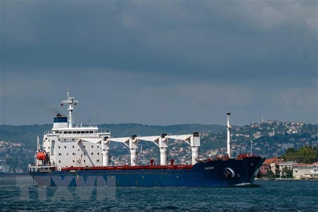 Tàu chở ngũ cốc di chuyển dọc Eo biển Bosphorus, Istanbul, Thổ Nhĩ Kỳ. (Ảnh: AFP/TTXVN)