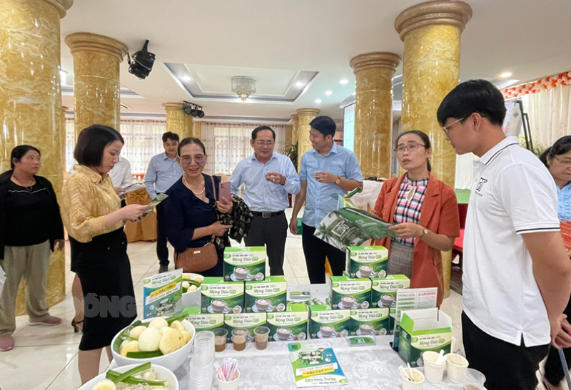 Doanh nghiệp khởi nghiệp, doanh nghiệp chuyển lên từ hộ kinh doanh sẽ được thụ hưởng nhiều chính sách hỗ trợ.