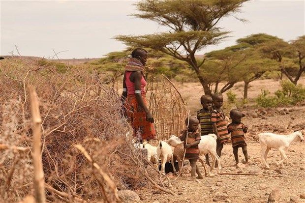 Phụ nữ và trẻ em tại khu vực chịu ảnh hưởng của hạn hán ở Loiyangalani, làng Parapul, Marsabit, miền bắc Kenya tháng 7-2022. (Ảnh: AFP/TTXVN)