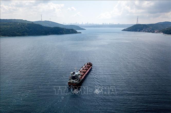 Tàu chở ngũ cốc di chuyển dọc Eo biển Bosphorus ngày 3-8-2022. Ảnh: AFP/ TTXVN