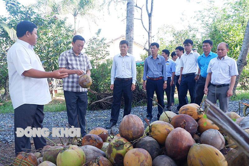 Tích cực phát triển kinh tế gắn với xây dựng nông thôn mới Hội Nông dân xã Mỹ Hưng tập trung vận động hội viên tham gia hợp tác xã.