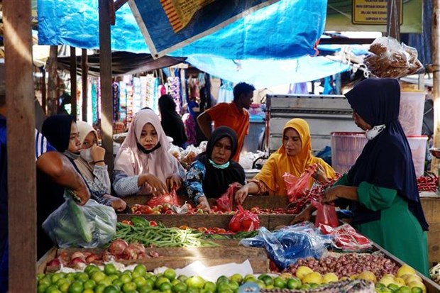 Indonesia hy vọng nhanh chóng trở thành thành viên của OECD Người dân mua sắm tại một chợ ở Aceh (Indonesia). (Ảnh: AFP/TTXVN)