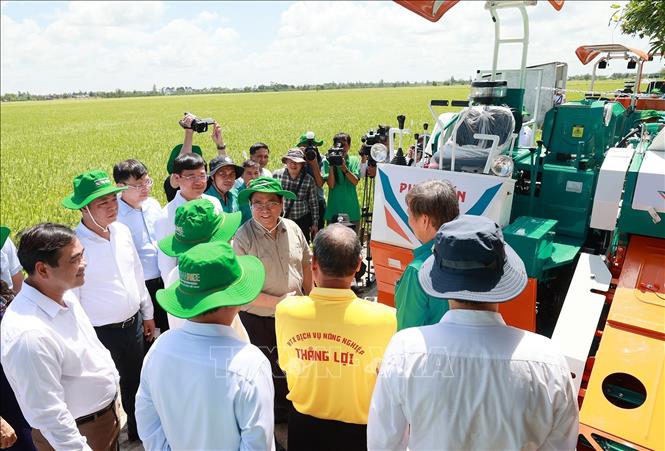 Thủ tướng Phạm Minh Chính khảo sát mô hình nông nghiệp công nghệ cao, sản xuất lúa của hợp tác xã dịch vụ nông nghiệp Thắng Lợi. Ảnh: Dương Giang/TTXVN