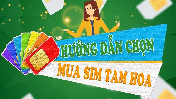 Lý do Sim Tam Hoa lại được ưa chuộng hiện nay