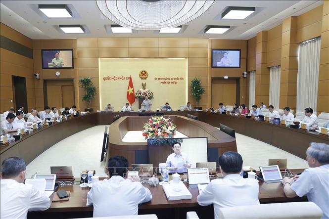 Đại biểu Quốc hội hoạt động chuyên trách sẽ thảo luận 9 dự án Luật Quang cảnh Phiên họp thứ 25 của Uỷ ban Thường vụ Quốc hội, sáng 14-8-2023. Ảnh: Doãn Tấn/TTXVN