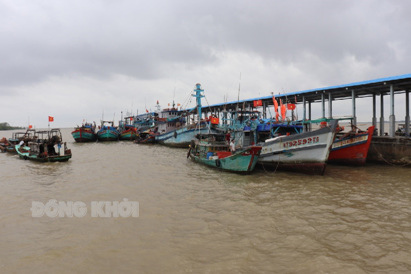 Tàu đánh bắt cập cảng mới của Ba Tri. Ảnh: Trà Dũng