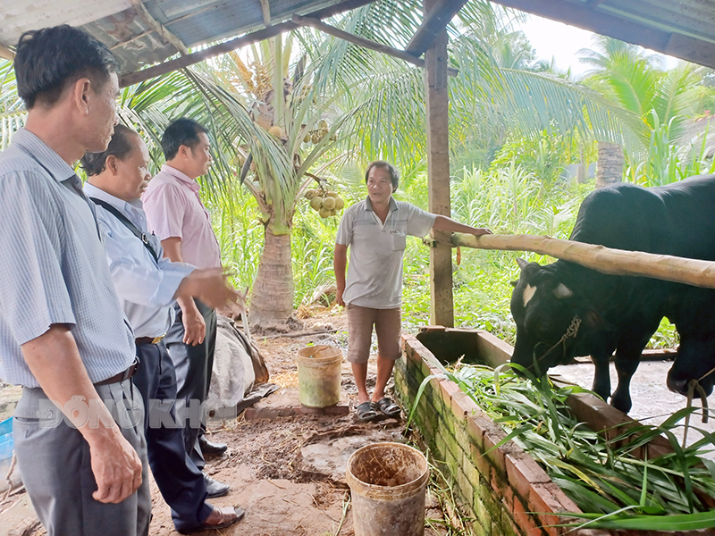 Đoàn thăm mô hình nuôi bò của anh Duy Văn Bình, ấp Tân Phong (hộ đã thoát nghèo).