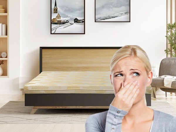 Mách bạn cách xử lý nệm bị hôi đơn giản, hiệu quả Tại sao nệm bị hôi?