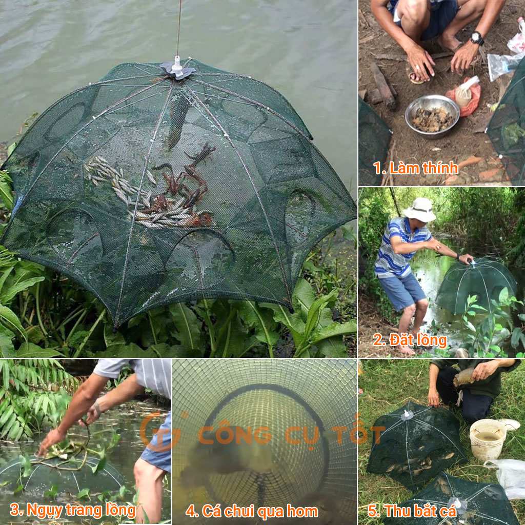 Đi du lịch trải nghiệm ở Bến Tre với thú vui bắt cá Lồng bắt cá du lịch