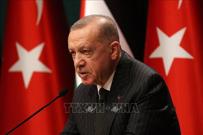 Tổng thống Thổ Nhĩ Kỳ Recep Tayyip Erdogan phát biểu tại cuộc họp báo ở Ankara. Ảnh: AFP/TTXVN