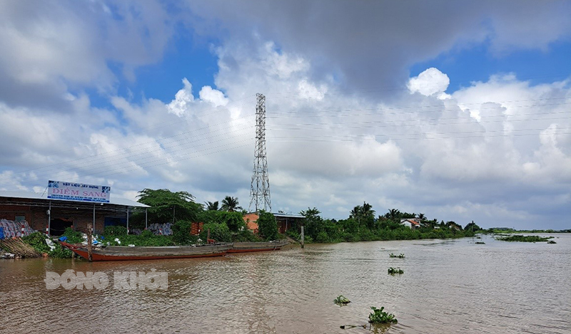 Khu vực cồn Phú Đa, xã Vĩnh Bình, huyện Chợ Lách, nơi dự án cầu Đình Khao sẽ đi qua.
