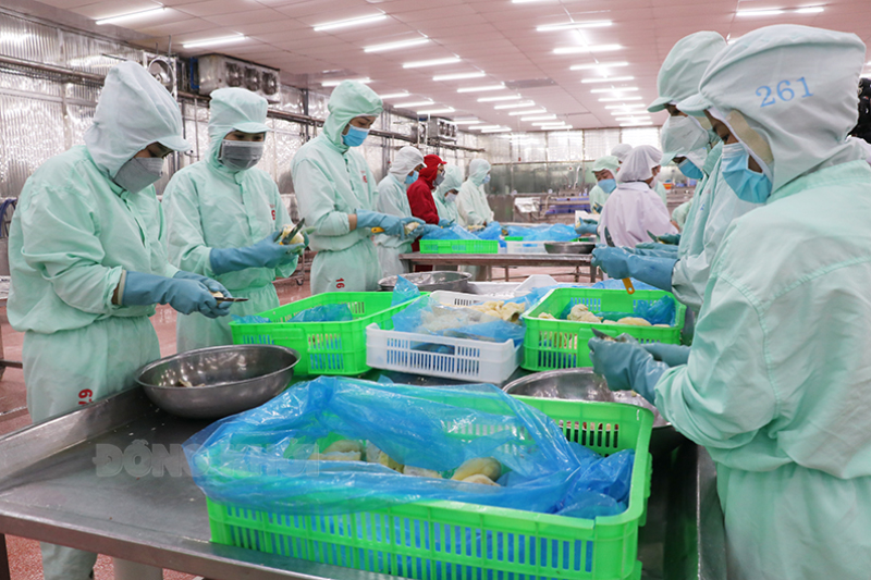 Quan tâm phát triển đảng viên, tổ chức cơ sở đảng trong doanh nghiệp Người lao động sản xuất tại doanh nghiệp. Ảnh: C. Đài