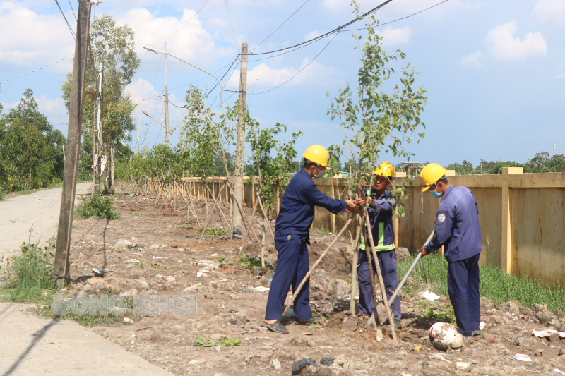 Các cây xanh được trồng phía ngoài tường rào.