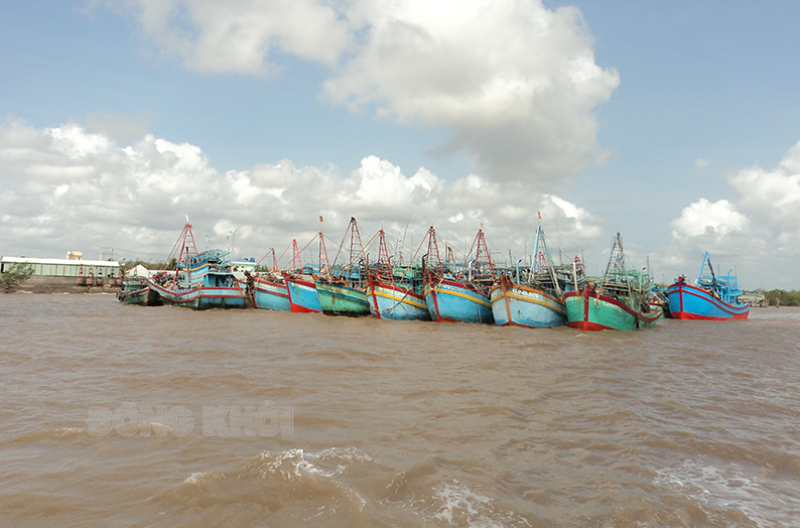 Tỉnh thực hiện nghiêm túc nhiệm vụ chống khai thác IUU Tăng cường tuyên truyền chủ phương tiện thực hiện đăng kiểm tàu cá.