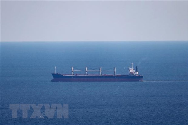 Tàu chở hàng Eneida hướng tới cảng Pivdennyi của Ukraine ngày 22-9. (Ảnh: AFP/TTXVN)