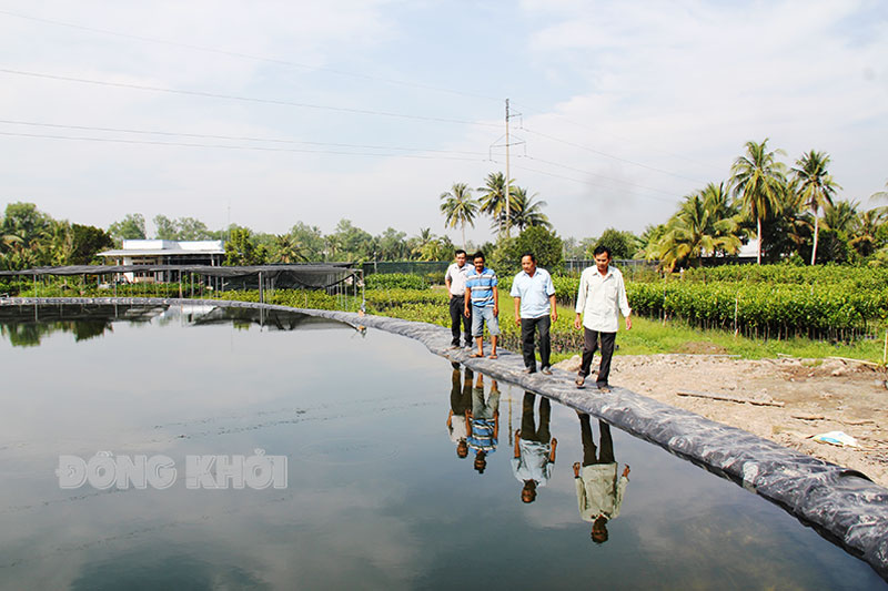 Người dân huyện Chợ Lách trữ nước ngọt phục vụ sản xuất và sinh hoạt.