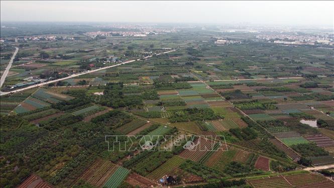 Bốn nội dung giám sát trọng tâm của MTTQ Việt Nam trong năm 2024 Trung ương Hội Nông dân Việt Nam tập trung giám sát việc quản lý, sử dụng đất nông nghiệp. Ảnh minh họa: Huy Hùng/TTXVN