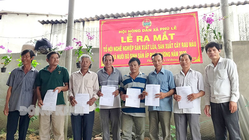 Ra mắt các tổ nghề nghiệp sản xuất lúa, rau màu, chăn nuôi bò sinh sản tại ấp Phú Khương.