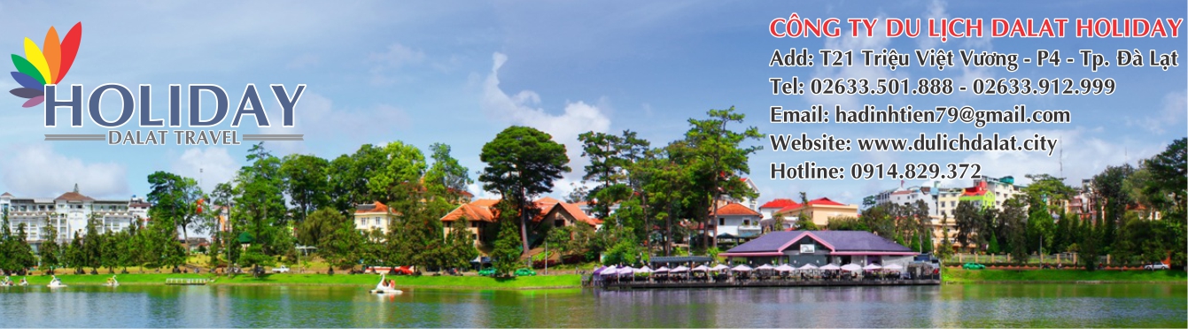 Những lưu ý khi thuê xe 16 chỗ Đà Lạt cho chuyến đi trọn vẹn