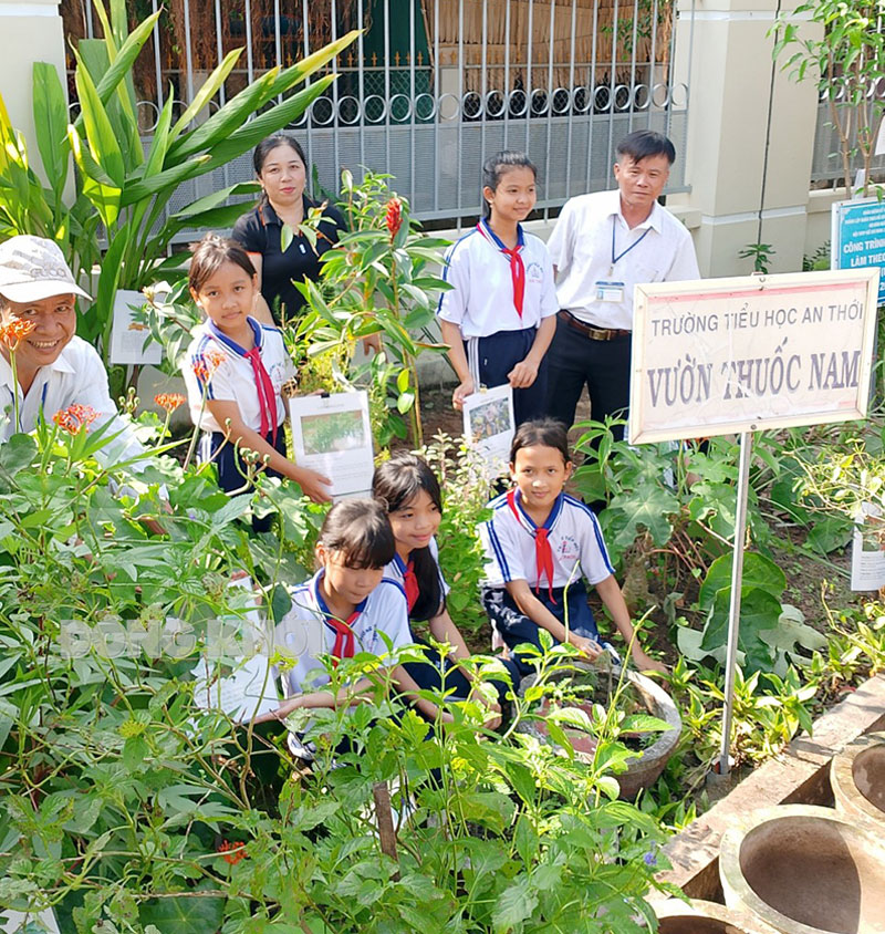 Vườn thuốc Nam tại Trường Tiểu học An Thới, huyện Mỏ Cày Nam.