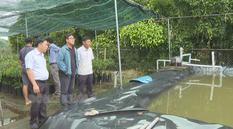 Mô hình ao chứa nước ngọt dung tích trên 1.000m3 của anh Đặng Hồng Sơn tại xã Long Thới, huyện Chợ Lách.