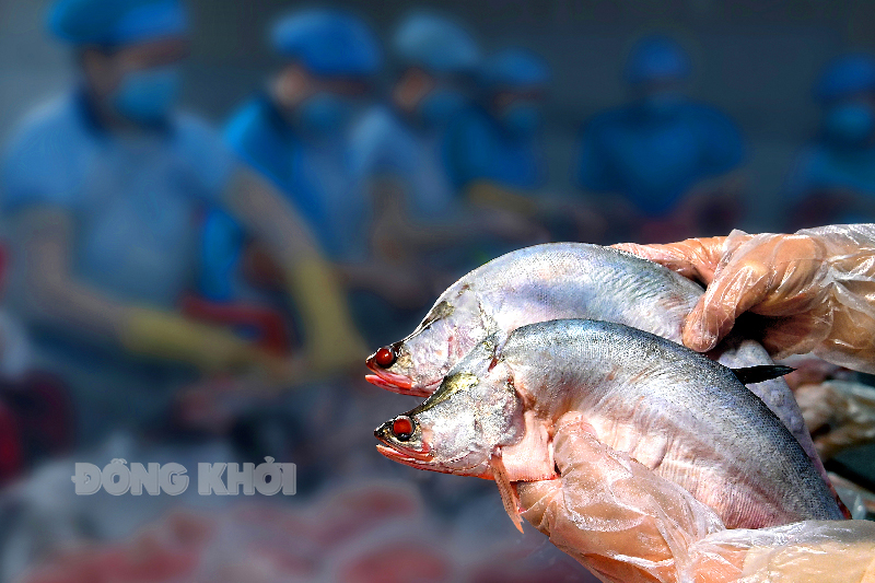  Tác phẩm “Hải sản sạch” của tác giả Nguyễn Văn Hải. Ảnh: Nguyễn Hải.