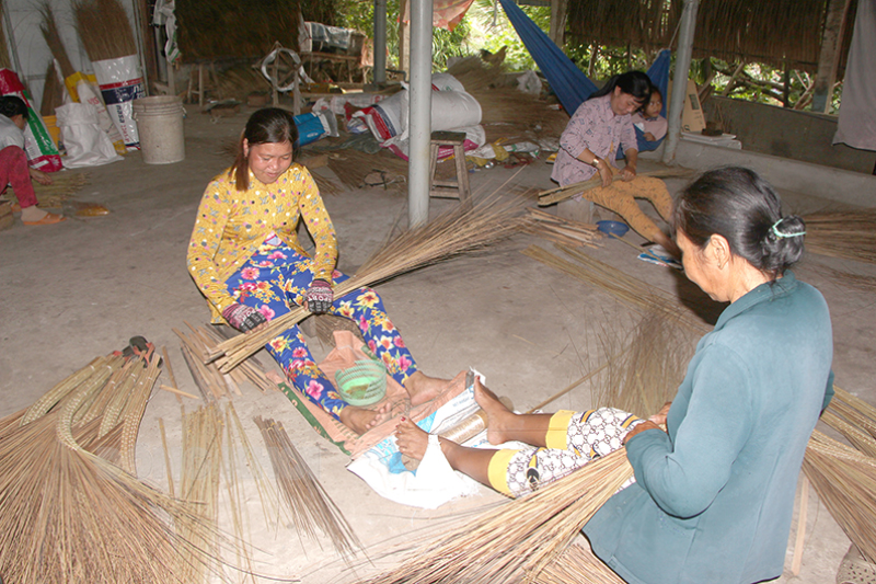 Làng nghề bó chổi xã Mỹ An, huyện Thạnh Phú giải quyết việc làm cho nhiều lao động địa phương.