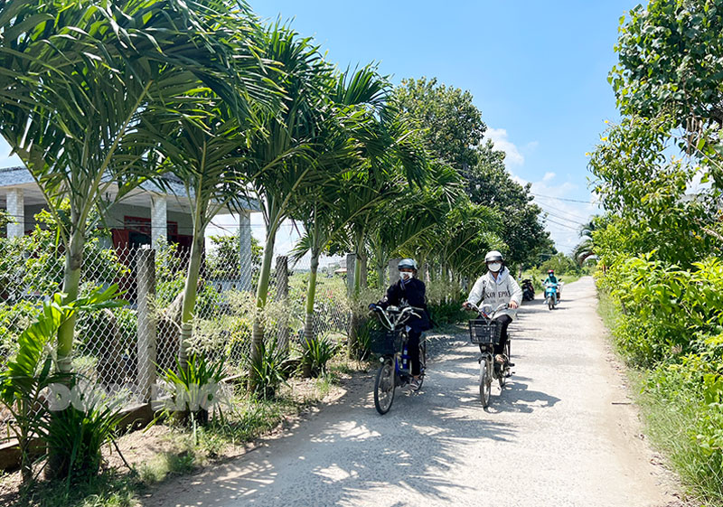 Đường giao thông nông thôn tại ấp Bình Thới 3 giúp thuận tiện trong việc vận chuyển hàng hóa, đi lại của người dân.