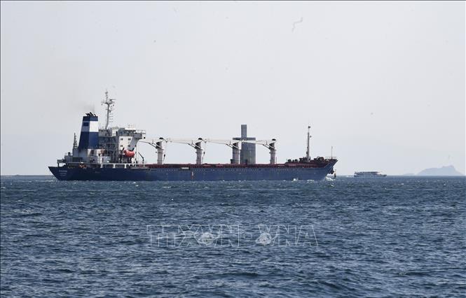 Tàu chở ngũ cốc của Ukraine đi qua Eo biển Bosphorus ở Istanbul, Thổ Nhĩ Kỳ. Ảnh: THX/TTXVN