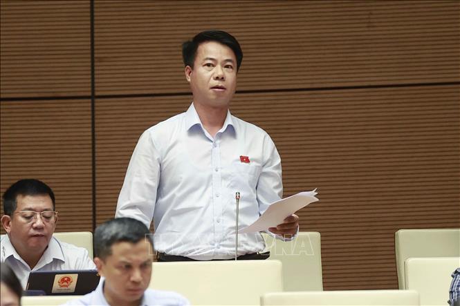 Đại biểu Quốc hội tỉnh Lai Châu Hoàng Quốc Khánh phát biểu ý kiến. Ảnh: Doãn Tấn/TTXVN
