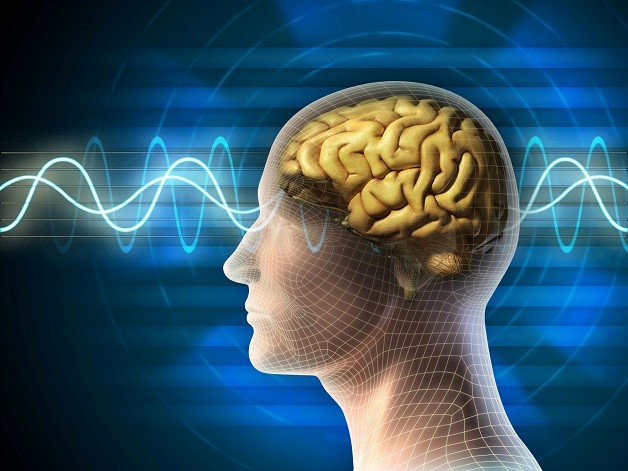 Uống Nước Yến Có Giảm Cân Không? Công Dụng Của Nước Yến