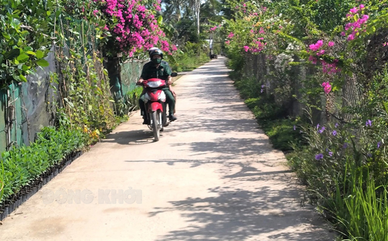 Hội Cựu chiến binh xã Thạnh Ngãi nhiều đóng góp trong xây dựng nông thôn mới Xây dựng đường giao thông nông thôn có sự đóng góp của Hội Cựu chiến binh xã Thạnh Ngãi.